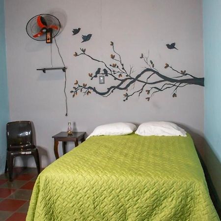 ホテル Hostal Casa Luna サンタ・アナ エクステリア 写真